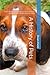 A History of Pets: From Wol...