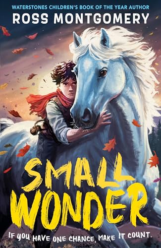 Small Wonder (Kindle Edition)