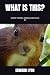 WHAT IS THIS? - Short stories, poems and plays by Edward Lyon