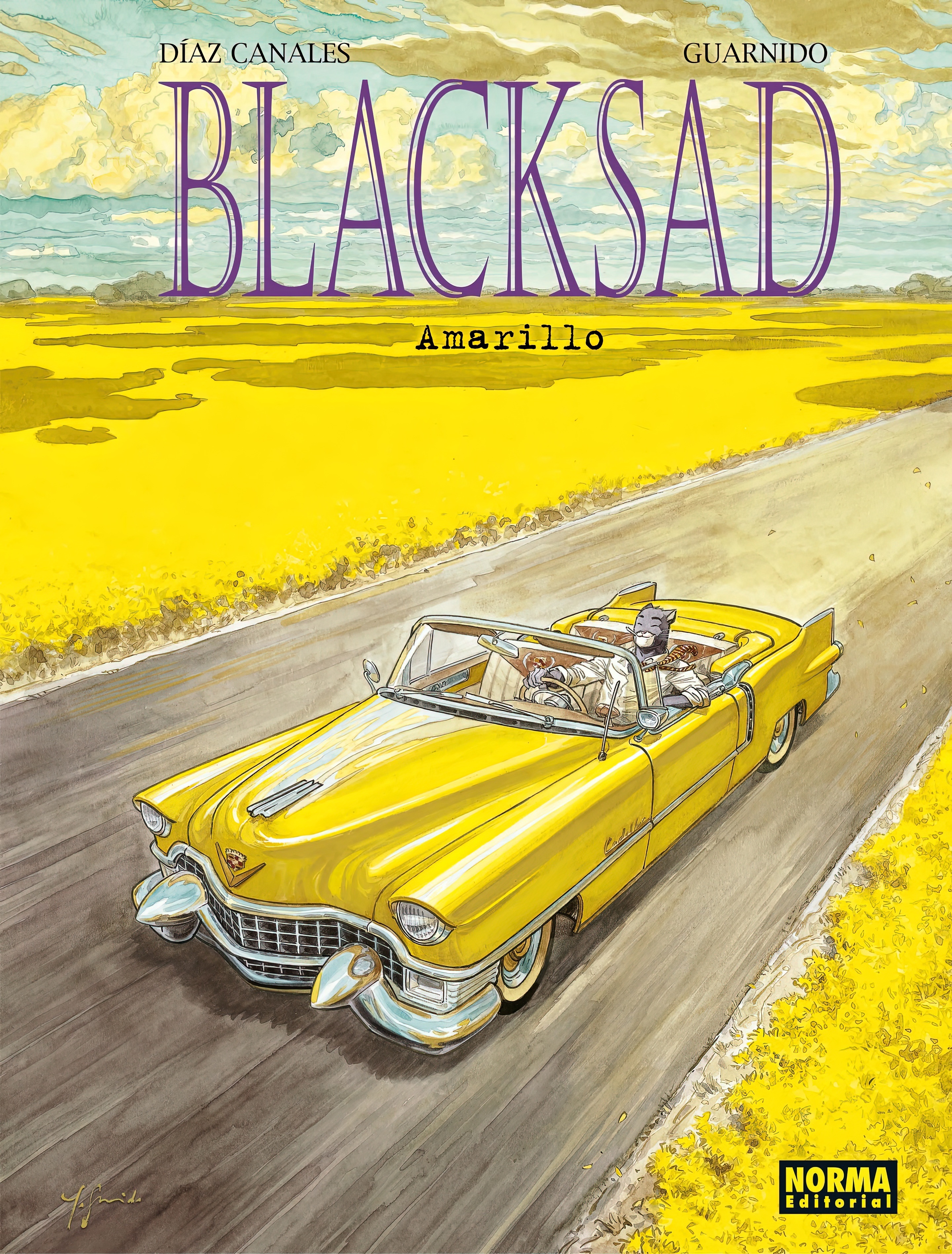 Portada de Amarillo, de Juan Díaz Canales
