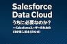 Data_Cloud_Need_or_Not_Unofficial_Guide: SalesforceDataCloudUnofficialGuide (Japanese Edition)