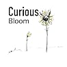 Curious Bloom: From Wonder to Wisdom: A Small Flower’s Journey Through Life