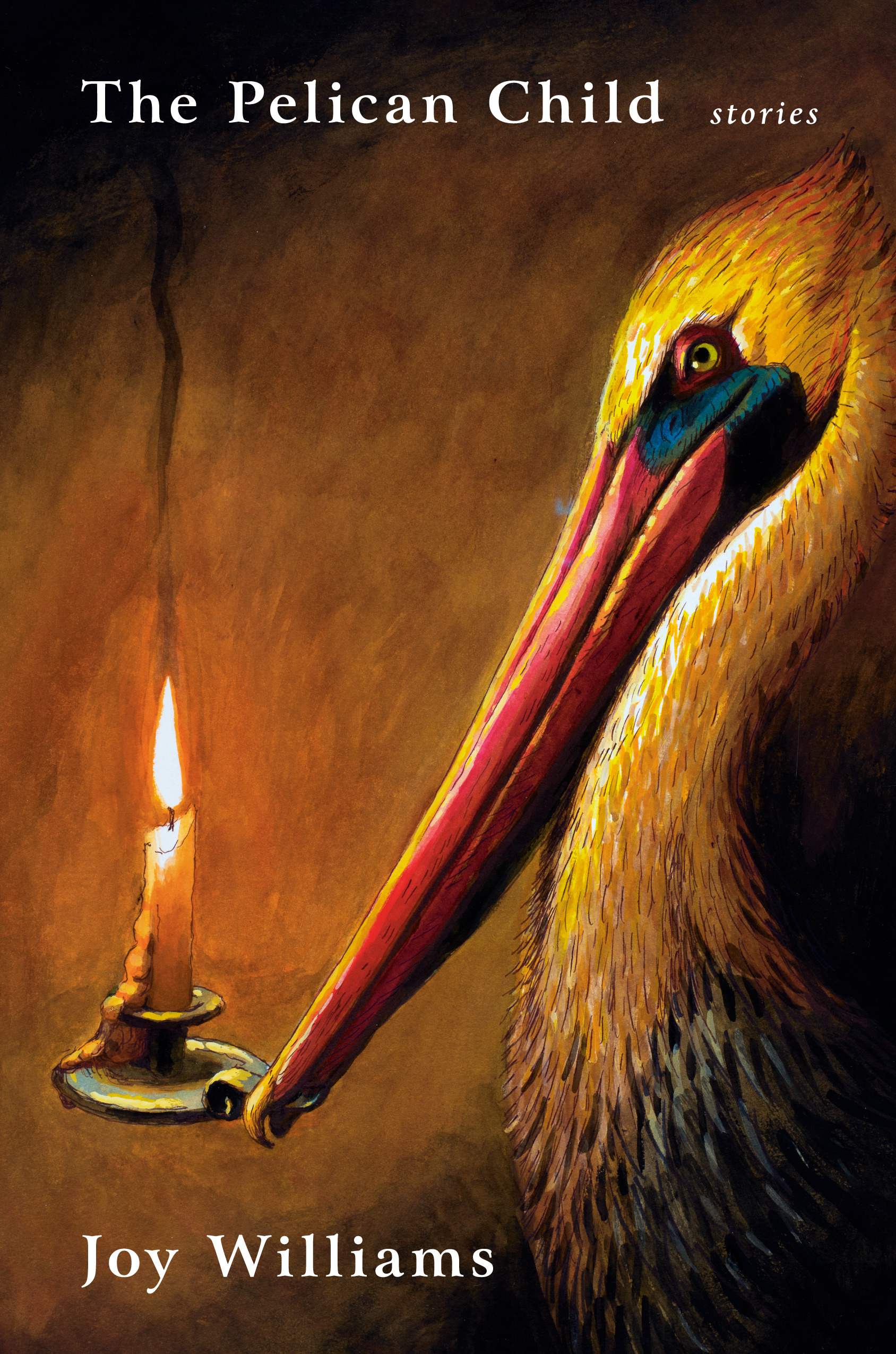 The Pelican Child: Stories (Hardcover)