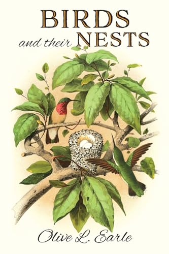 Birds and their Nests (Paperback)