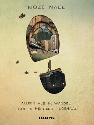 Alleen als ik wandel loop ik nergens tegenaan (Hardcover)