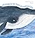 Journey of the Humpbacks (Spectacular STEAM for Curious Readers by Juliana Muñoz Toro