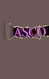 Fiasco