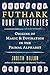 Futhark Rune Mysteries by Judith Dillon