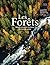 Les Forêts: Balade à travers les forêts du monde entier