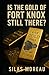 Is the Gold of Fort Knox Still There? by Silas Moreau