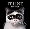 Feline: Photographs