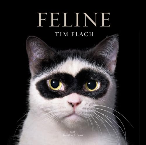 Feline: Photographs (Hardcover)