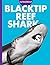 Curious about Blacktip Reef...