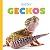 Baby Geckos