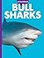 Curious about Bull Sharks