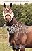 Long Distance With the Trainer's Assistant: A Pine Mountain Horse Park Romance