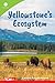 Yellowstone’s Ecosystem ebook