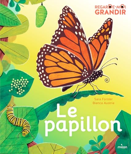 Regarde-moi grandir : le papillon (Hardcover)