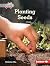 Planting Seeds (In the Garden by Katherine Chu