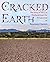 Cracked Earth by Rosemary Charters