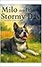 Milo and the Stormy Day by Michele Dinwiddie