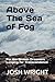 Above The Sea of Fog: For the Broken Dreamers Longing for Transcendence