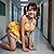 College Hypnosis - Sophie's...