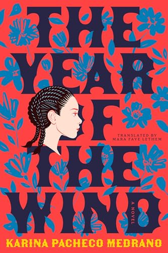 The Year of the Wind (Paperback)