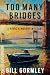 Too Many Bridges: A Radic & Mulroy Mystery