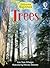 Trees (Beginners)