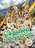 Clouded Leopards (Wild about Cats!)