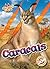 Caracals