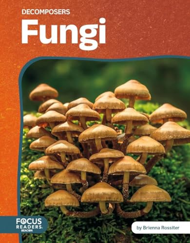 Fungi (Decomposers)