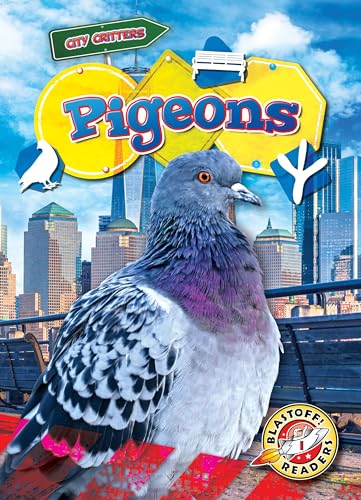 Pigeons (City Critters)
