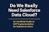 Salesforce Data Cloud Do We Really Need It? — An Unofficial Guide to CDP Implementation for Salesforce Users: Salesforce Data Cloud An Unofficial Guide