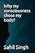 Why my consciousness chose ...