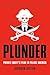 Plunder: Private Equity's Plan to Pillage America