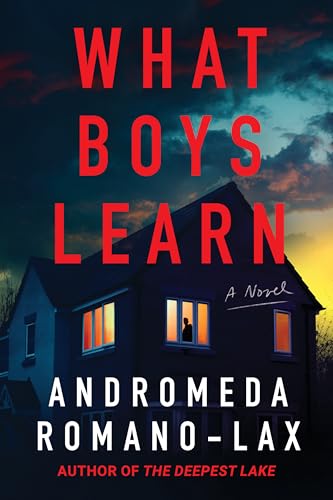 What Boys Learn (Hardcover)