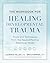 The Workbook for Healing Developmental Trauma: Tools and Techniques from the NeuroAffective Relational Model (NARM)