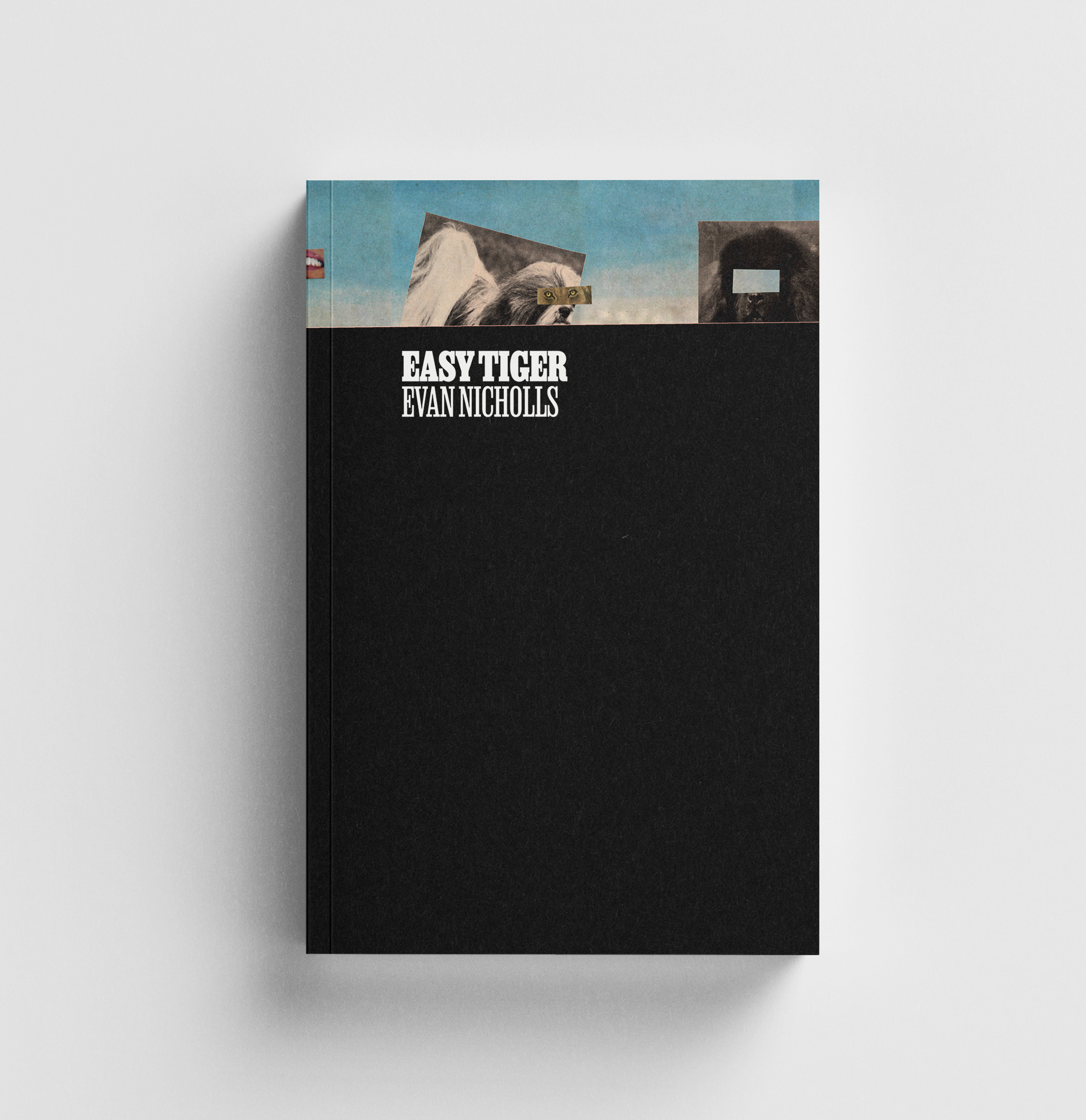 Easy Tiger (Paperback)