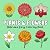 Plants And Flowers Bold And Easy Coloring Book by Richard Bennet