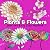 Plants And Flowers Bold And...