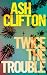 Twice the Trouble: A Novel