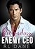 Pretending For My Enemy CEO by R.L. Dane