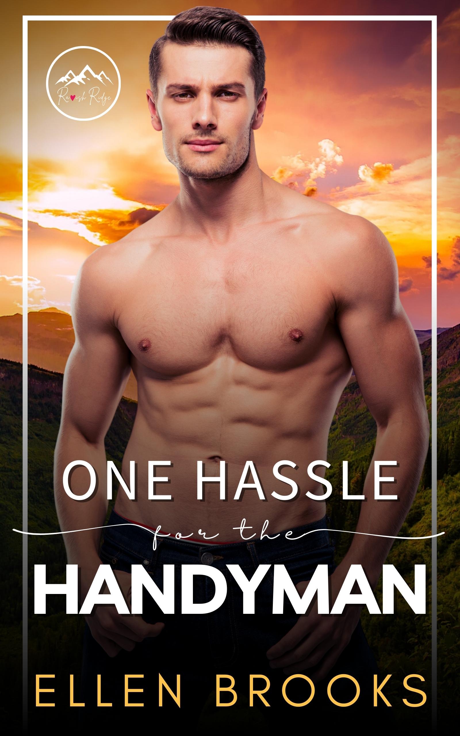 One Hassle for the Handyman