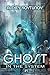 Ghost in the System (Book 1): An Apocalypse LitRPG Series