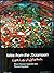 Tales from the Zirzameen (Signed Copy) by Brian H. Appleton