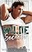 Wilde Secrets: A Small Town...