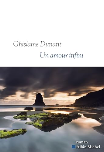 Un amour infini: Sélections Prix Goncourt et Médicis (Paperback)