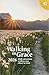 Walking in Grace 2026 by Guideposts